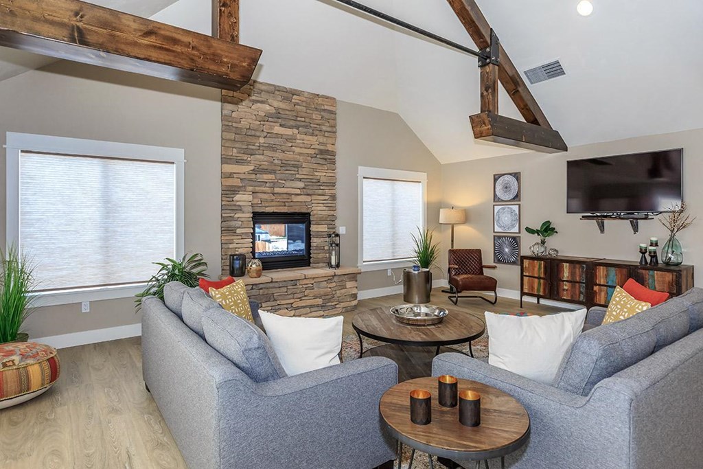 a living room with couches and a tv and a fireplace